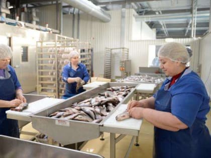 ПМЭФ-2019: В Туле будет создано предприятие по производству рыбной продукции глубокой переработки