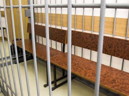 В Щекинском районе двое грабителей на глазах у соседа украли с дачи трубы и арматуру