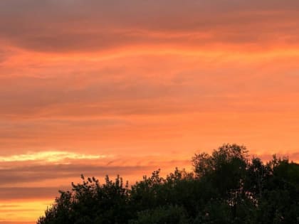 В Тульской области 11 июля ожидается небольшой дождь и до +22 ℃