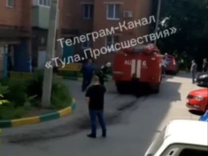 Из горящей квартиры в Туле пожарные спасли женщину
