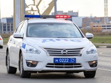 В Тульской области с начала года в ДТП на «встречке» погибли 25 человек