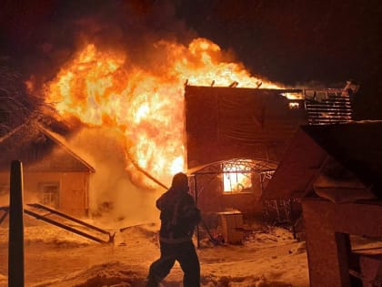 В Тульской области при пожаре в частном доме погибли двое взрослых и двое детей