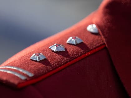 Роспотребнадзор подтвердил два заражения лихорадкой Западного Нила в Ростовской области