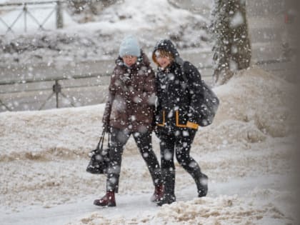 Понижение температуры и снегопад ожидаются в Тульской области 12 января