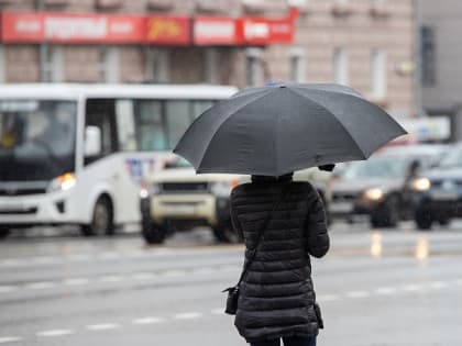 Дождь и повышенное атмосферное давление: прогноз погоды в Туле и области на 4 мая
