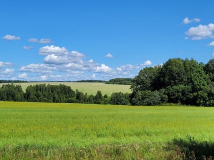 23 июля в Тульской области ожидается кратковременный дождь и до +25°С