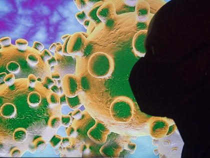 За сутки коронавирусом в Тульской области заболели 24 человека