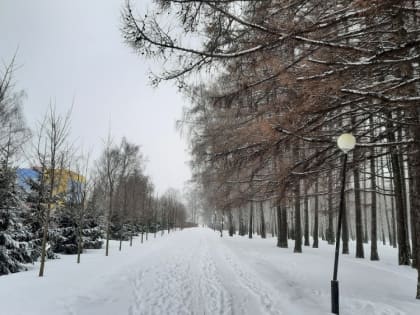 Погода в Новомосковске 10 марта: снег, северный ветер и до -1