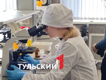 Тульские медики назвали три правила, чтобы анализы были показательными