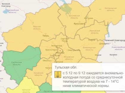 Из-за морозов в Тульской области сохраняется оранжевый уровень опасности