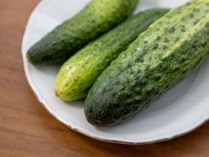 Диетолог предупредила об опасности сыроедения