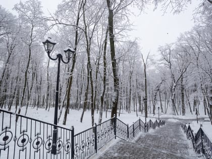 14 февраля в Туле ожидаются дождь со снегом и -1 градус мороза