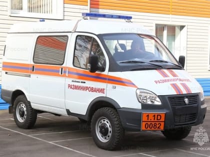 В тульской деревне Барсуки ликвидировали минометную мину времен ВОВ