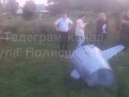 В Алексинском районе нашли фрагмент ракеты «Кинжал»