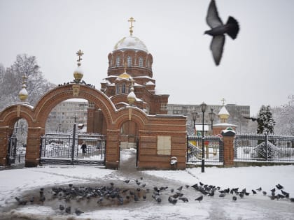 Прогноз погоды в Туле на 20 января