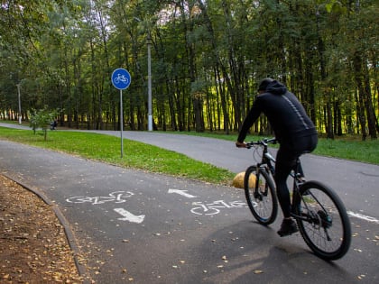 Горе от ума: тульские врачи рассказали, какие полезные привычки могут причинить вред