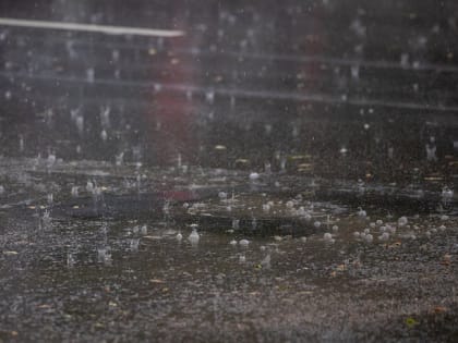 В Тульской области 21 июня объявлено метеопредупреждение из-за грозы и сильного ветра