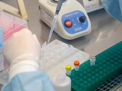 68 случаев заражения COVID-19 за сутки выявлены в Тульской области