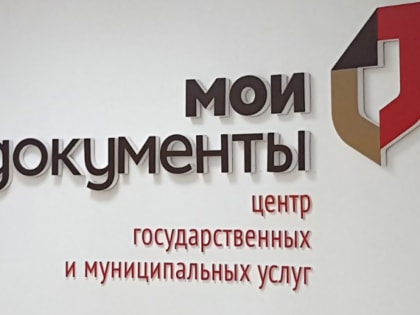 Услуги ФНС России можно получить в МФЦ