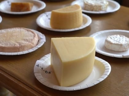 В Тульской области продавали санкционные сыры и мясо