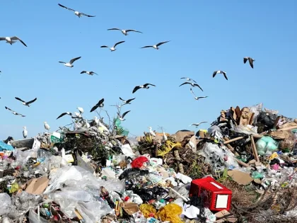 Россельхознадзор нашел свалку на участке администрации Богородицкого района