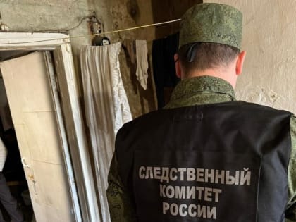 В Белёве сожитель смертельно ранил ножом женщину