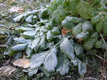 В Тульской области это 9 мая станет самым холодным в 21 веке