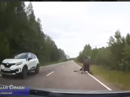 В тульском селе лось и Nissan не поделили дорогу