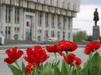 В Туле прогнозируют дождливую и ветреную погоду 5 июня