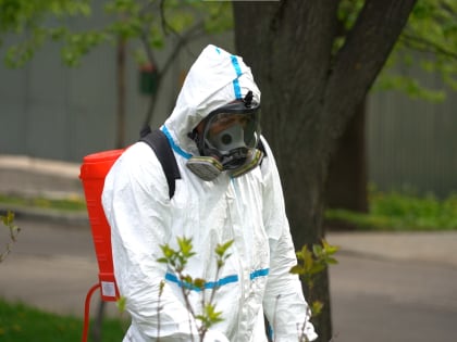 Центральный парк Тулы обработают от клещей