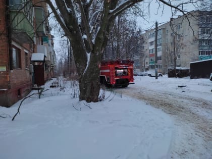 На пожаре в Щекино спасли 2 человек