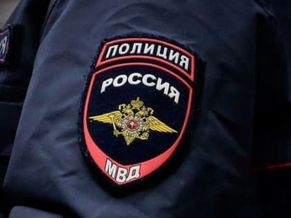 В Туле дебошир-гастарбайтер укусил гаишника и разнёс машину ДПС