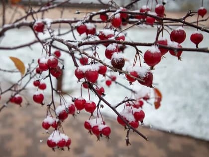 Туляков 12 февраля ожидает снег с дождем, пасмурная погода и до 0 градусов
