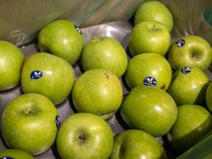 Врачи назвали плюсы употребления овощей и фруктов