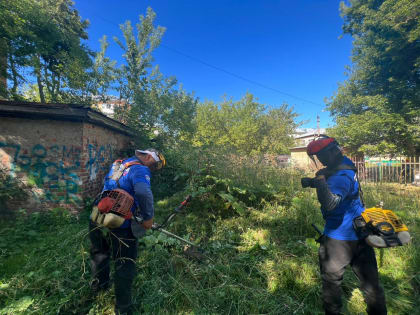 В Зареченском округе продолжается окос сорной растительности