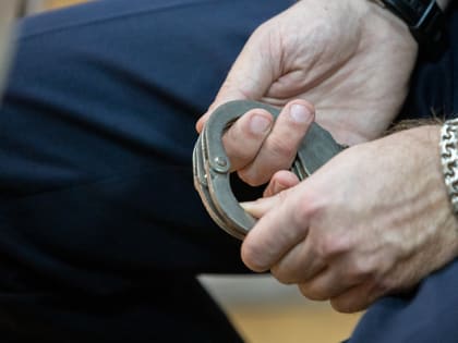 Туляк арестован на 5 месяцев за кражу деталей с грузового вагона