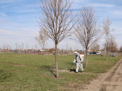 В Туле проводят акарицидную обработку общественных протсранств