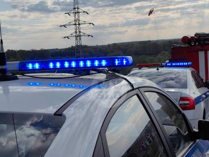 Трехлетний мальчик погиб на пожаре в деревне Туры Тульской области