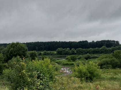 Грозы и ветер до 17 м/с ожидаются в Тульской области 29 июня