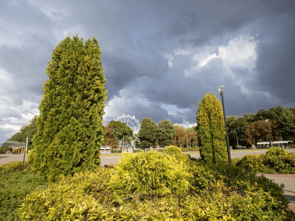 В Туле 25 июля пройдет дождь и потеплеет до +25 градусов