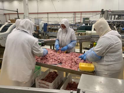 Развитие агропромышленного сектора в Волово