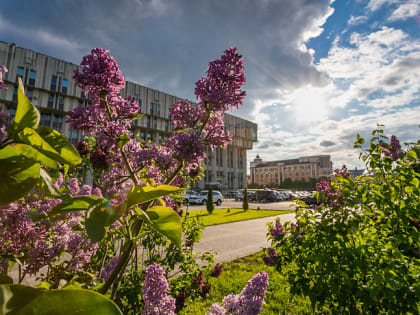 В Туле и области будет облачно с прояснениями и до +19 градусов тепла 25 августа