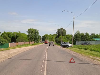 В Богородицком районе иномарка сбила 11-летнюю девочку и снесла столб