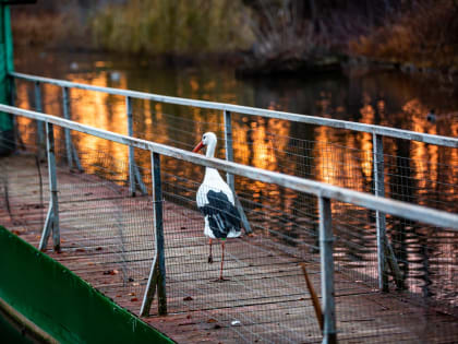 В ночь на 14 мая в Тульской области осадков не ожидается