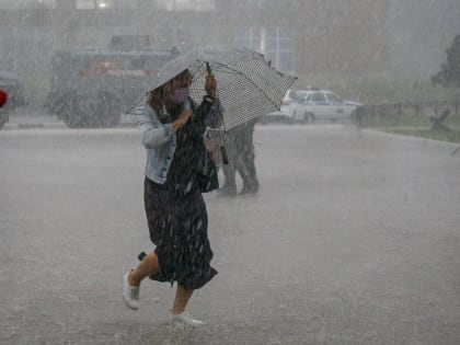 Метеопредупреждение: 9 октября в Тульской области продолжит дуть сильный ветер