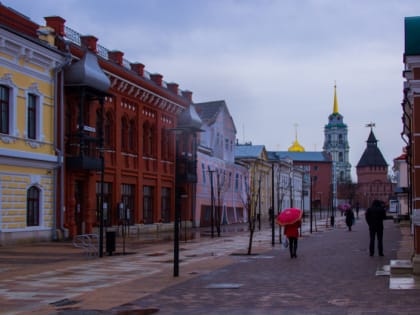 В Тульской области снова ожидаются заморозки