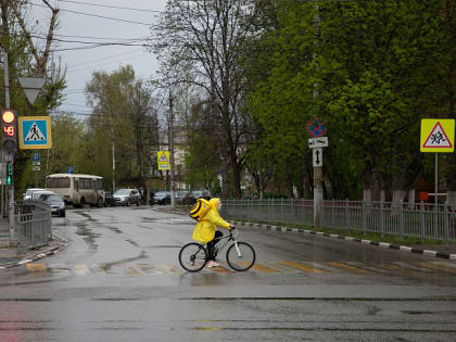В Туле и области ожидаются ливни и похолодание до +18 градусов 22 августа