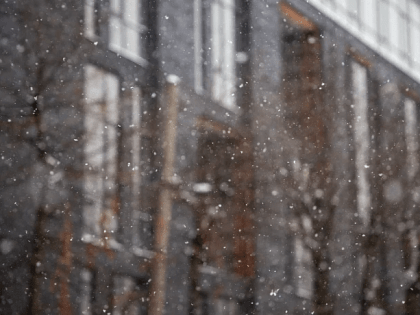 В Туле 26 декабря пройдет снег с дождем и потеплеет до +1 градуса