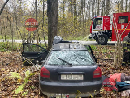 Под Тулой водитель Audi съехал в кювет и врезался в дерево