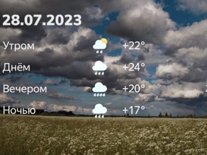 Захватите с собой зонт, день обещает быть дождливым: гороскоп и прогноз на 28 июля